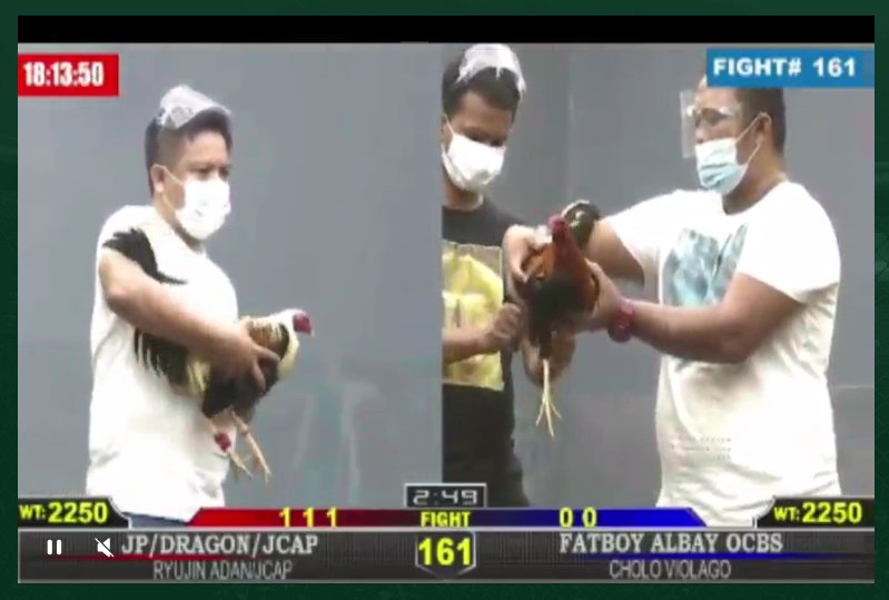 Sabong Arena,Sabong Sport 